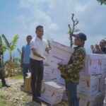 चेपाङको